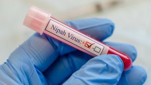 ilustrasi-virus-nipah_169